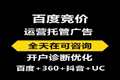 SEM主管实战：案例分析与优化策略